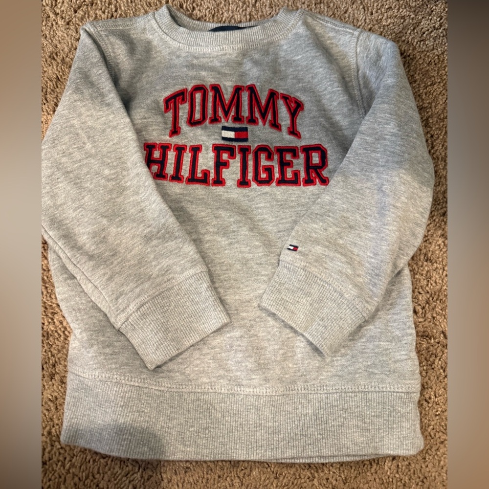 Tommy Hilfiger Kids Light Gray Sweatshirt with Red Logo‎